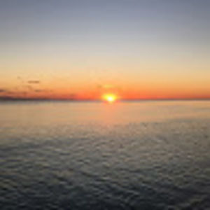 Meet your Posher, Davis